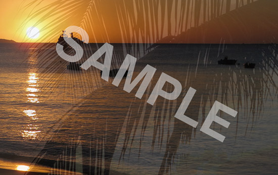 the anguilla card back