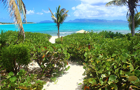 lunch view at covecastles