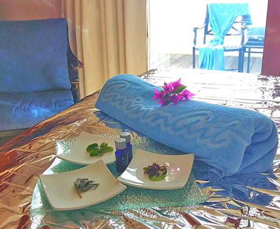 fresh spa ingredients at venus spa