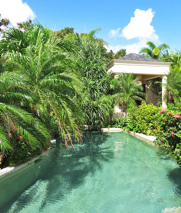 bird of paradise villa lagoon pool