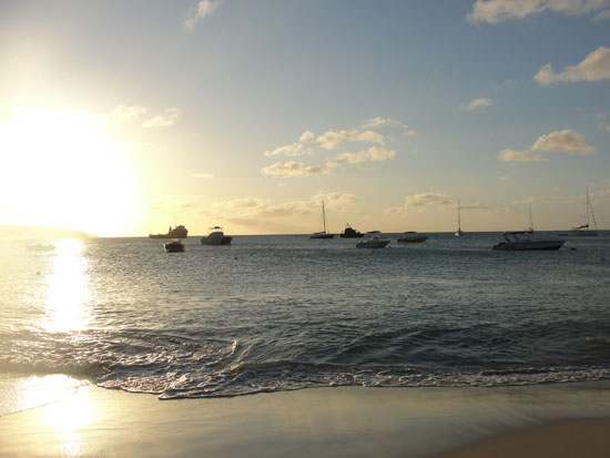 Anguilla beaches, Sargassum seaweed, Sandy Ground