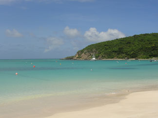 Anguilla beaches, Sargassum seaweed, Sandy Ground