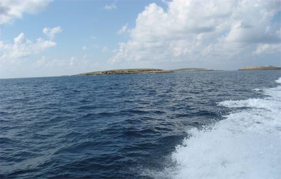 dog island anguilla boat charter