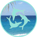 anguilla card emblem