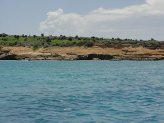 Anguilla dive, Dog Island, current, Douglas Carty