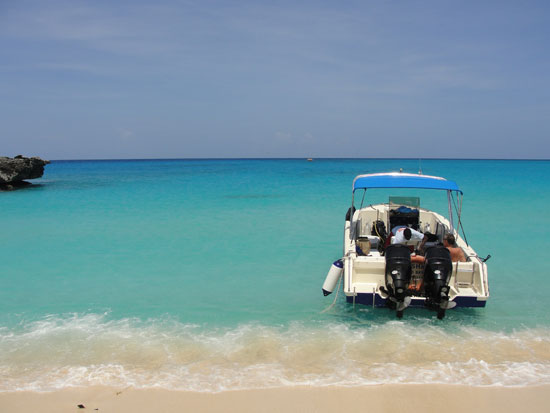 Anguilla diving, Dog Island, Special D Diving