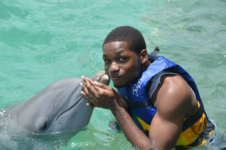 dolphin discovery anguilla