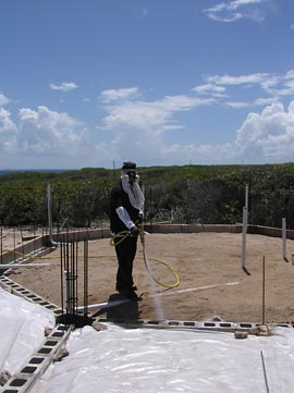 anguilla exterminator 4