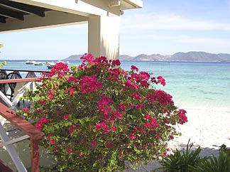Anguilla restaurants