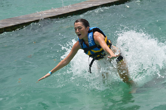 anguilla dolphin