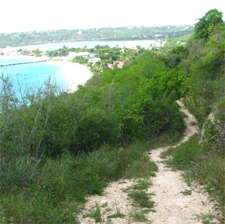 sandy ground view