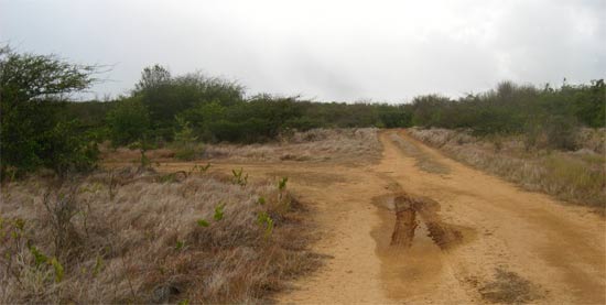 anguillita caribbean vacations