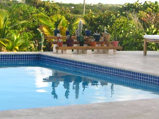 caribbean pool and cacti