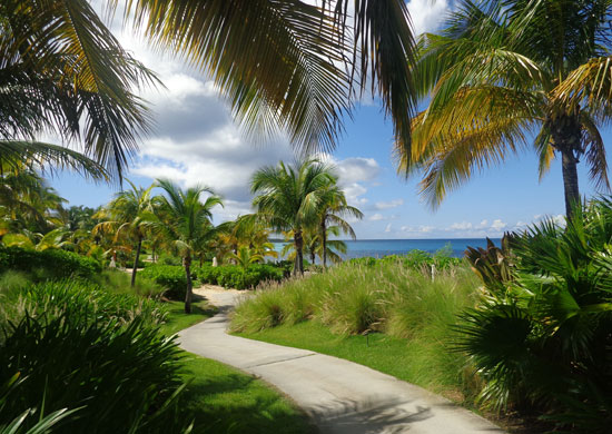 Anguilla hotels, Anguilla restaurants, Half Shell, Viceroy, Barnes Bay Anguilla