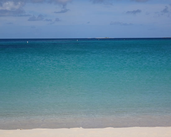 sandy ground beach near sydans