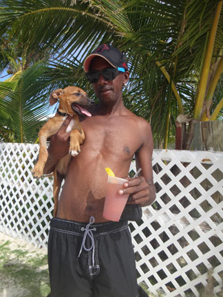 elvis on rendezvous bay in anguilla