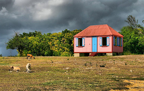 anguilla photos