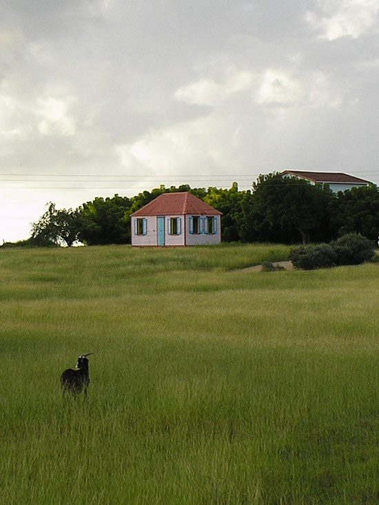 anguilla photos