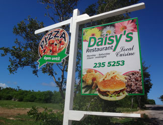 daisys sign