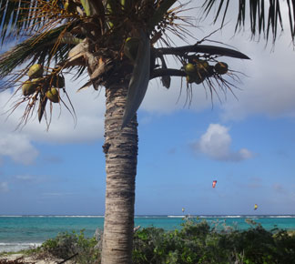 kitesurfing at prickly pear