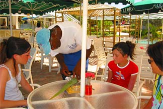 anguilla restaurants