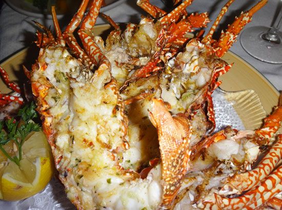 crayfish with garlic butter at e's oven in anguilla