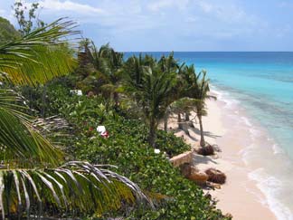 Anguilla restaurants