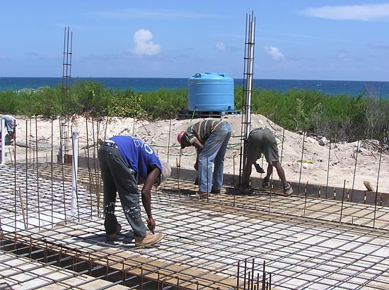 anguilla salute