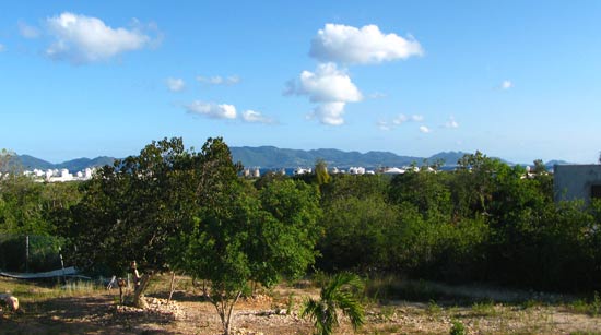 anguilla kitchen