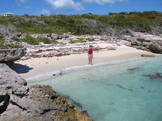 Anguilla Villas Little Harbor Small Beach