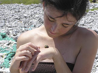 snails on Caribbean island vacations