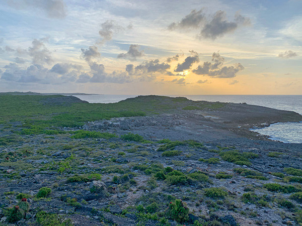 Anguilla and Scrub