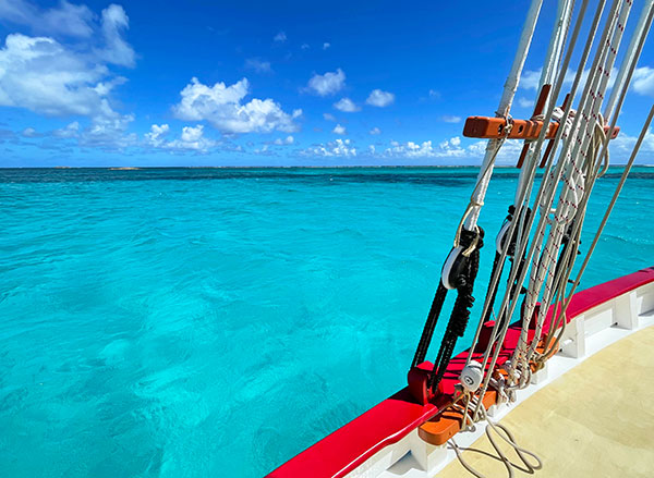 blue water of prickly pear anguilla
