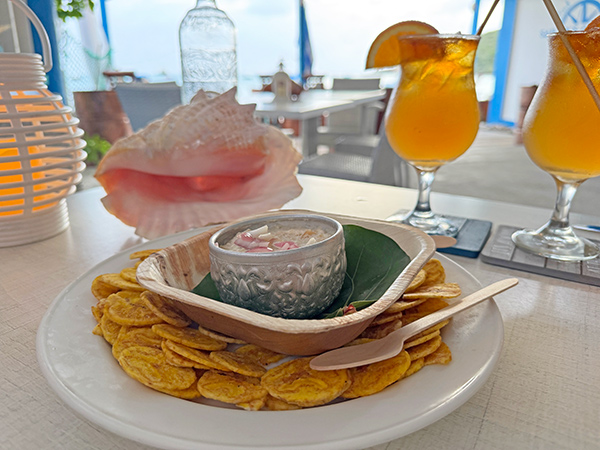 Sailor's Compass: Bacon Caramelized Onion Dip with Plantain chips
