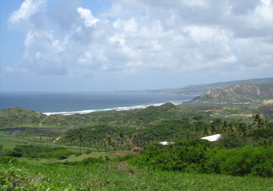 barbados plantation