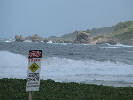 barbados soup bowl