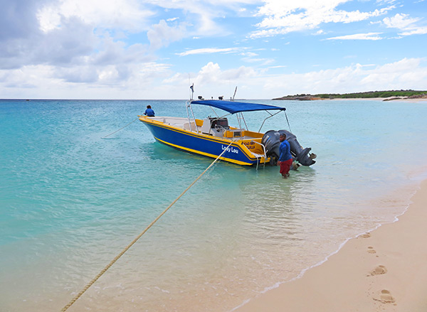 lady lou shoal bay scuba at dog island