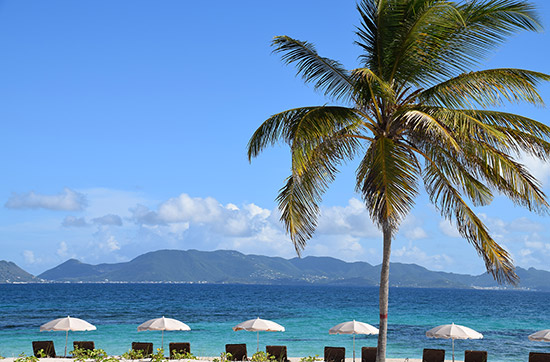 row of beach chaises and palm trees at merrywing bay