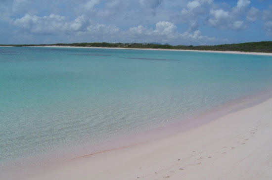 pristine savannah bay