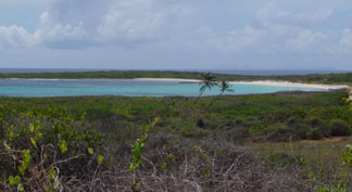 savannah bay anguilla