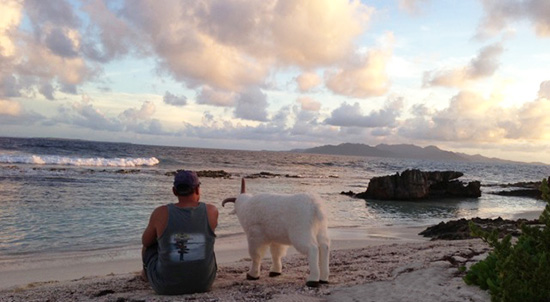 enjoying the sunset at lover's cove in anguilla