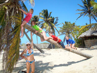 Anguilla villa, Bird of Paradise