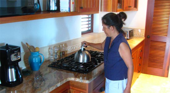 anguilla villa black pearl kitchen