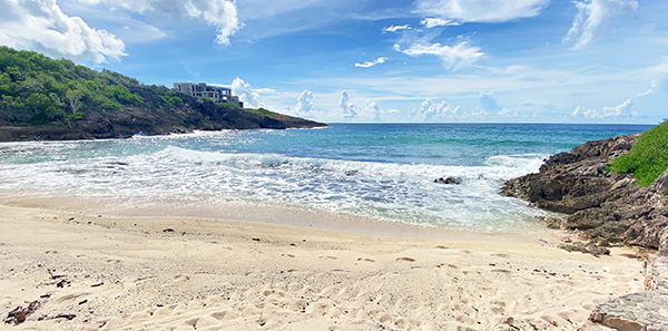 Anguilla Blackgarden