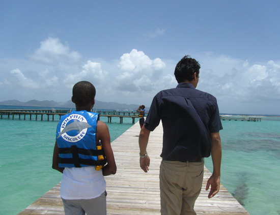 anguilla dolphin