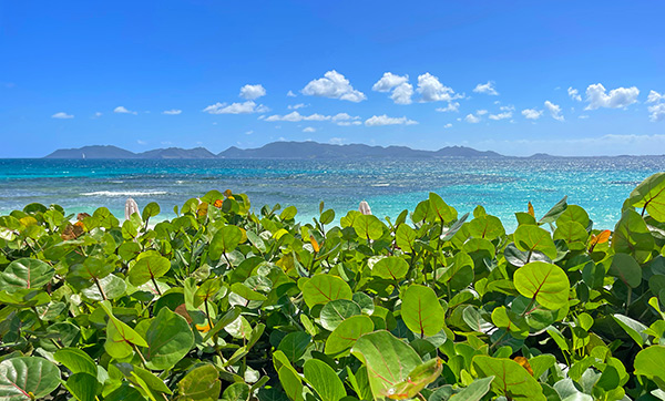 soaking in the caribbean sea at breezes at the reef