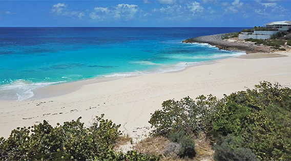 looking north from captains bay