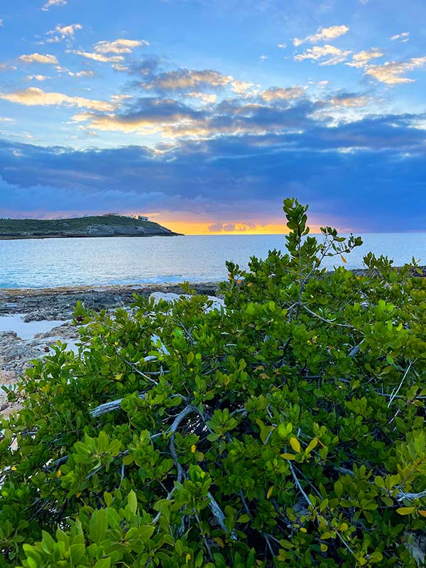 looking north from captains bay