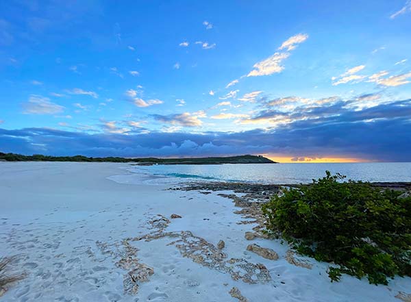 looking north from captains bay