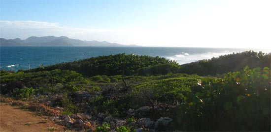 caribbean golf